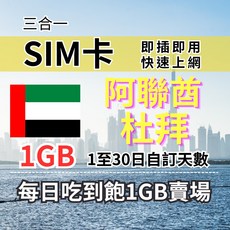 阿聯酋 杜拜 每日1GB高速旅遊網卡 實體SIM卡, 6天