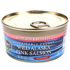 Wild Planet 阿拉斯加野生鮭魚罐頭, 1個, 170克