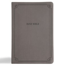 (英文圖書) NASB Large Print Thinline Bible Value Edition Charcoal Leathertouch Imitation Leather, Holman Bibles, 英文, 仿皮