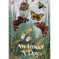 (英文圖書) An Insect a Day 精裝版, Batsford, 英文