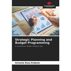 (英文圖書) Strategic Planning and Budget Programming 平裝版, Our Knowledge Publishing, 英文