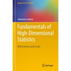 (英文圖書) Fundamentals of High-Dimensional Statistics: With Exercises and R Labs 精裝版, Springer, 英文