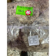 萬花叢 資材 水苔 5KG 智利進口 上板 觀葉植物 種植鹿角蕨, 1個