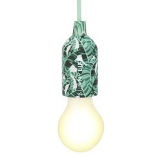 Sunny Life 全線燈香蕉棕櫚白熾燈, 無