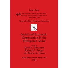 (英文圖書) Social and Economic Organization in the Prehispanic Andes 平裝版, British Archaeological Repo..., 英文
