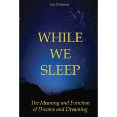 While We Sleep: The Meaning and Function of Dreams and Dreaming 平裝版, Vincenzo Nappi, 英文