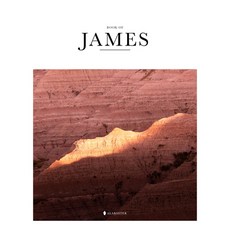 (英文圖書) Book of James (Hc Nlt) 精裝版, Alabaster, 英文