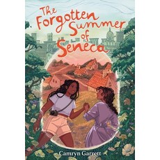 (英文圖書)The Forgotten Summer of Seneca 精裝版, Amulet Books, 英文