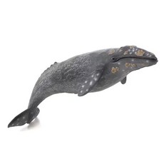 MOJO 灰鯨模型, 灰鯨(特大)