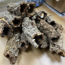 天然樹洞, 棕色