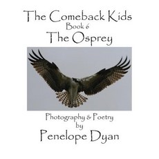 (英文圖書)The Comeback Kids Book 6 The Osprey 精裝版, Bellissima Publishing, 英文