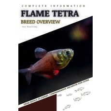 (英文圖書) Flame Tetra: From Novice to Expert. Comprehensive Aquarium Fish Guide 平裝版, Independently Published, 英文