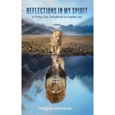 (英文圖書) Reflections in My Spirit 精裝版, Resource Publications (CA), 英文