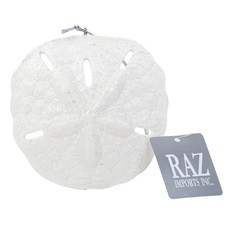 Raz Imports 沙錢與貝殼裝飾品, 單一顏色, 1個