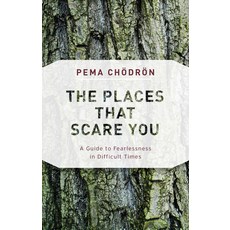 The Places That Scare You: A Guide to Fearlessness in Difficult Times 平裝版, Shambhala, 英文