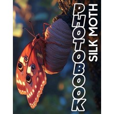 (英文圖書) Silk Moth Photo Book: Explore The Beauty Of Nature With 40 Stunning Images Of S... 平裝版, Independently Published, 英文