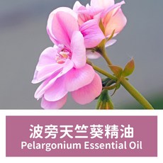 馥靖精油 波旁天竺葵精油 Pelargonium Essential Oil - 天然舒緩、平衡身心, 天竺葵