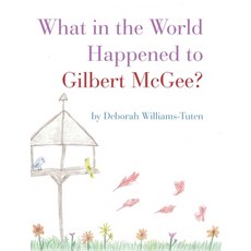 (英文圖書)What in the World Happened to Gilbert McGee? 精裝版, Palmetto Publishing, 英文
