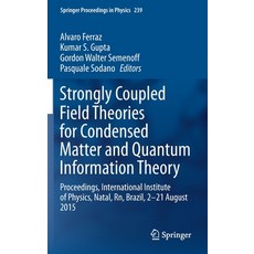 (英文圖書) Strongly Coupled Field Theories for Condensed Matter and Quantum Information Theory: Proceedi... 精裝版, Springer, 英文