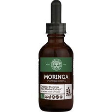 GLOBAL HEALING 辣木原料草本提取物, 1個, 59.2毫升