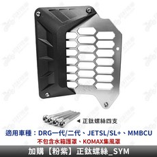 DRG 二代 水箱罩 集風罩, 加購【銀色】正鈦螺絲_SYM專用