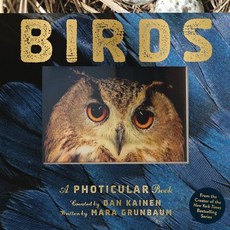 (英文圖書) Birds: A Photicular Book 精裝版, Workman Publishing, 英文