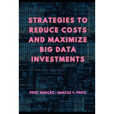 (英文圖書) Strategies to Reduce Costs and Maximize Big Data Investments 平裝版, Independently Published, 英文
