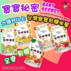 BABY SECRET 寶寶秘密 米菓條 多種口味 適合六個月以上寶寶 台灣製造 25g, 1個, 寶寶秘密｜有機米菓條｜蘋果地瓜米菓