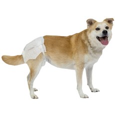 POOCH PAD 寵物狗用尿布, 12件, 大型, 1入