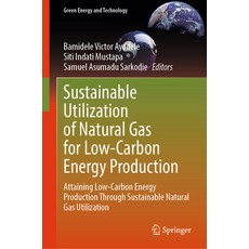 (英文圖書) Sustainable Utilization of Natural Gas for Low-Carbon Energy Production: Attain... 精裝版, Springer, 英文