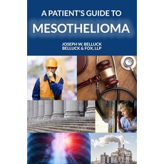 A Patient's Guide to Mesothelioma 平裝版, Createspace Independent Pub..., 英文