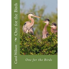 (英文圖書)One for the Birds 平裝版, Createspace Independent Pub..., 英文