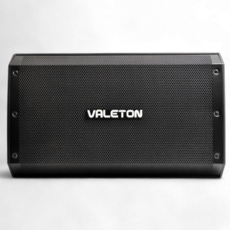 VALETON VFR110 平坦響應 FRFR 音箱 適用多效果器與IR模擬 吉他音箱, 黑色