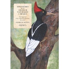(英文圖書) Adventures of an Amateur Naturalist in Mexico: The Imperial Ivory-billed Woodpecker Revisited 平裝版, Black Swift Press, 英文