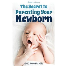 The Secret To Parenting Your Newborn: 0-12 Months Old 平裝版, Independently Published, 英文