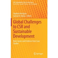 Global Challenges to Csr and Sustainable Development: Root Causes and Evidence from Case Studies 精裝版, Springer, 英文