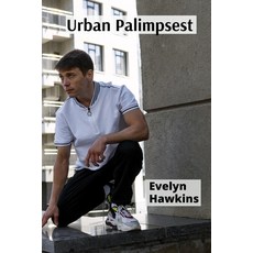 (英文圖書) Urban Palimpsest: Public Murals and the Transformation of Cityscapes 平裝版, Evelyn Hawkins, 英文