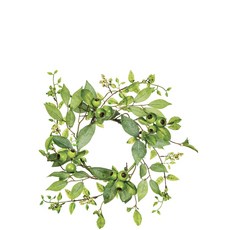 Sullivans leaf & pot lease 16.5cm, 綠