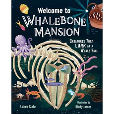 (英文圖書)Welcome to Whalebone Mansion: Creatures That Lurk at a Whale Fall 精裝版, Charlesbridge Publishing, 英文