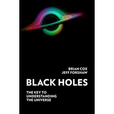 (英文圖書) Black Holes: The Key to Understanding Everything 精裝版, Custom House, 英文