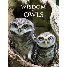 (英文圖書) Wisdom of Owls 精裝版, Firefly Books, 英文