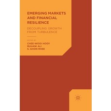 Emerging Markets and Financial Resilience: Decoupling Growth from Turbulence 平裝版, Palgrave MacMillan, 英文