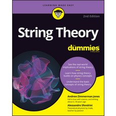 (英文圖書) String Theory for Dummies 平裝版, 英文