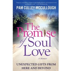 The Promise of Soul Love: Unexpected Gifts From Here and Beyond 平裝版, Book Business, 英文