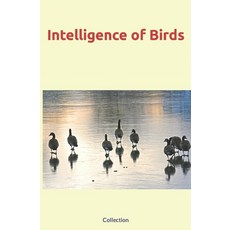 (英文圖書) Intelligence of Birds 平裝版, Human and Literature, 英文