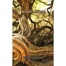 (英文圖書) Mystic Musings 平裝版, Creative Arts Management Ou, 英文