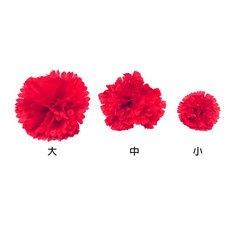 永生康乃馨胸花, 小款50入