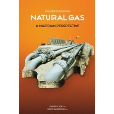 (英文圖書) Understanding Natural Gas: A Nigerian Perspective 平裝版, Independently Published, 英文