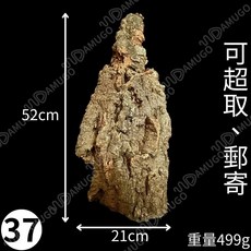 鹿角蕨上板 園藝 鹿角蕨板 初生軟木 樹皮板 香檳木 香檳樹皮 上板 鹿角蕨木板 香檳木樹皮 初生樹皮 軟木樹皮, 詳見包裝, 37