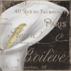 斑馬麥麥 餐巾紙 蝶古巴特拼貼材料